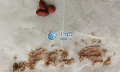 高通量組織研磨儀助力研磨農產(chǎn)品做重金屬分析-上海凈信