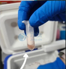 12 實(shí)驗(yàn)案例底圖.jpg