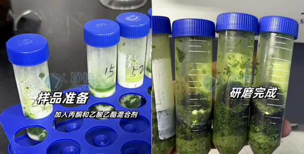 農(nóng)產(chǎn)品 實(shí)驗(yàn)案例底圖.jpg