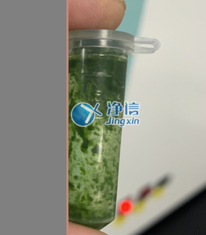 冷凍研磨儀在對(duì)甘蔗葉片提取DNA實(shí)驗(yàn)中研磨樣本效果如何？