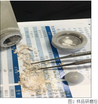 冷凍研磨儀研究告訴你-海虹體內(nèi)的營養(yǎng)價值及藥用價值有那些？